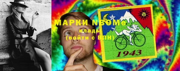 стаф Вязьма